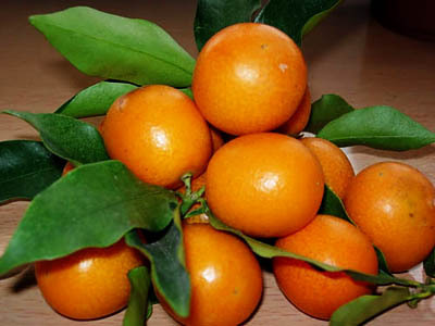 ���L(zh��ng)̶���p���~��Ʒ���